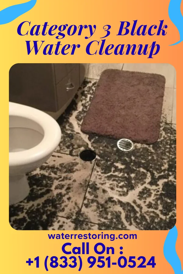 Category 3 Black Water Cleanup in Middleport, NY