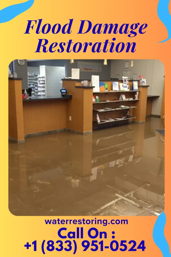 Flood Damage Restoration in Middleport, NY