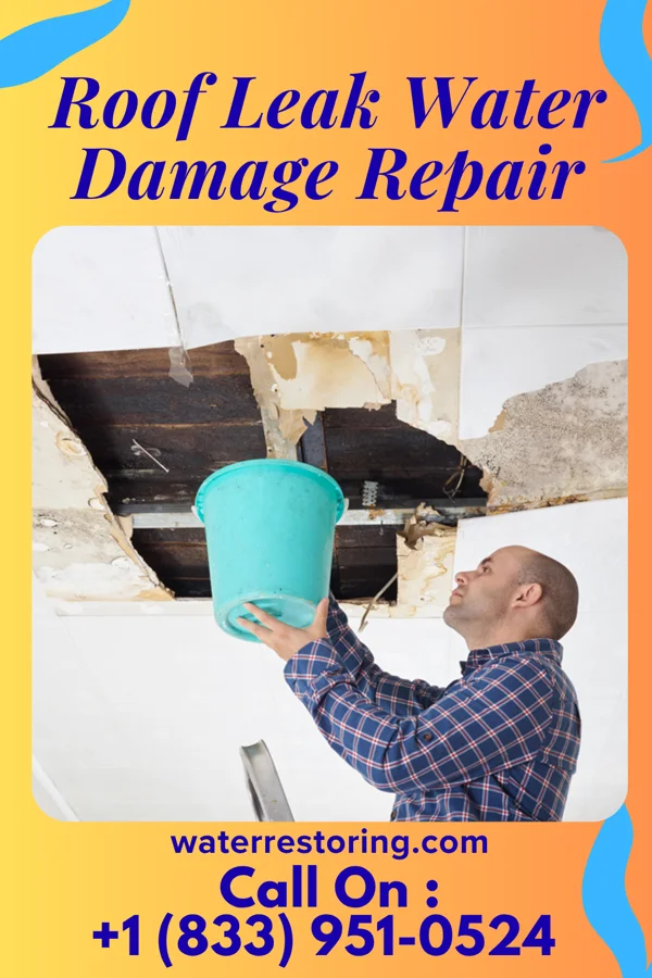 Roof Leak Water Damage Repair in Middleport, NY