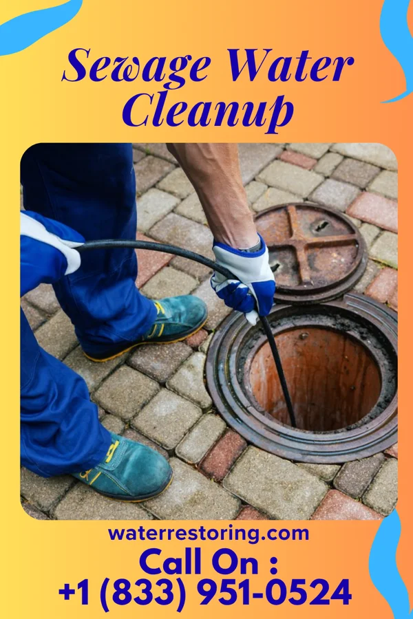 Sewage Water Cleanup in Middleport, NY